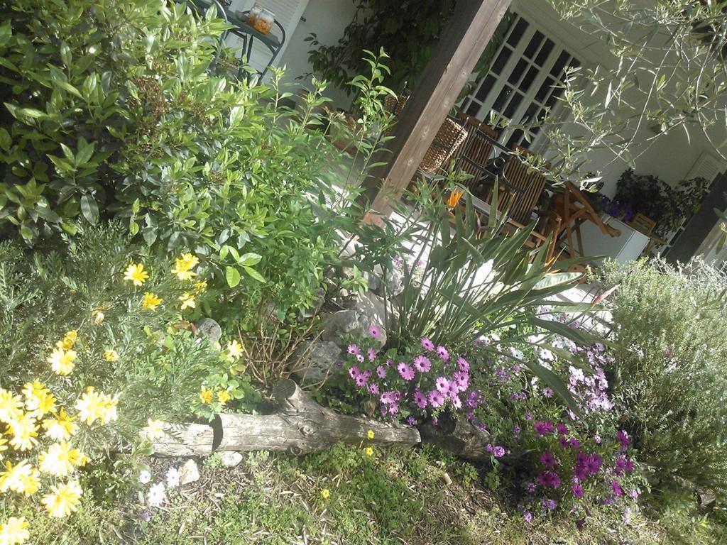 B&B Villa Ada Formia Eksteriør bilde